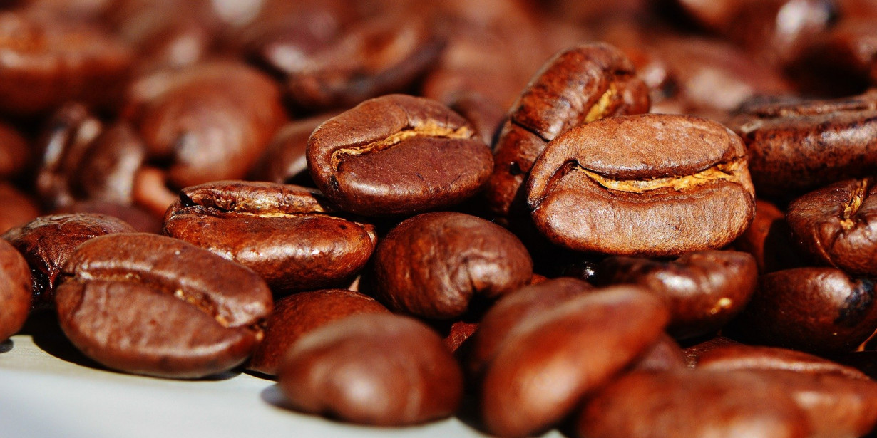 Jangan Ngaku Pecinta Kopi Kalau Belum Tahu Jenis-jenis Kopi Lokal Terbaik Ini