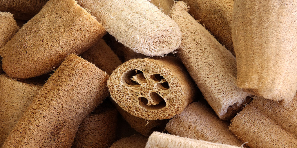 Mengenal Loofah, Spons Berbahan Alami yang Ramah Lingkungan