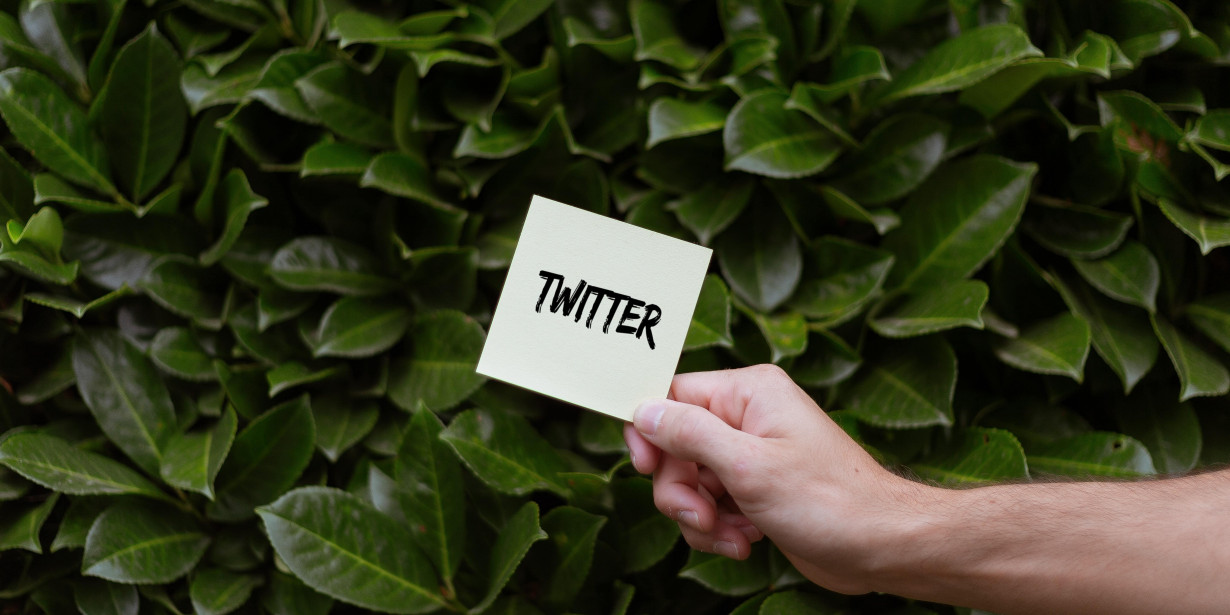 Makin Tren, Ini 5 Akun Menfess Twitter yang Menarik Diikuti