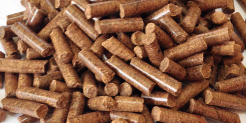 Mengenal Biomass Briquette, Pengganti Batu Bara Ramah Lingkungan