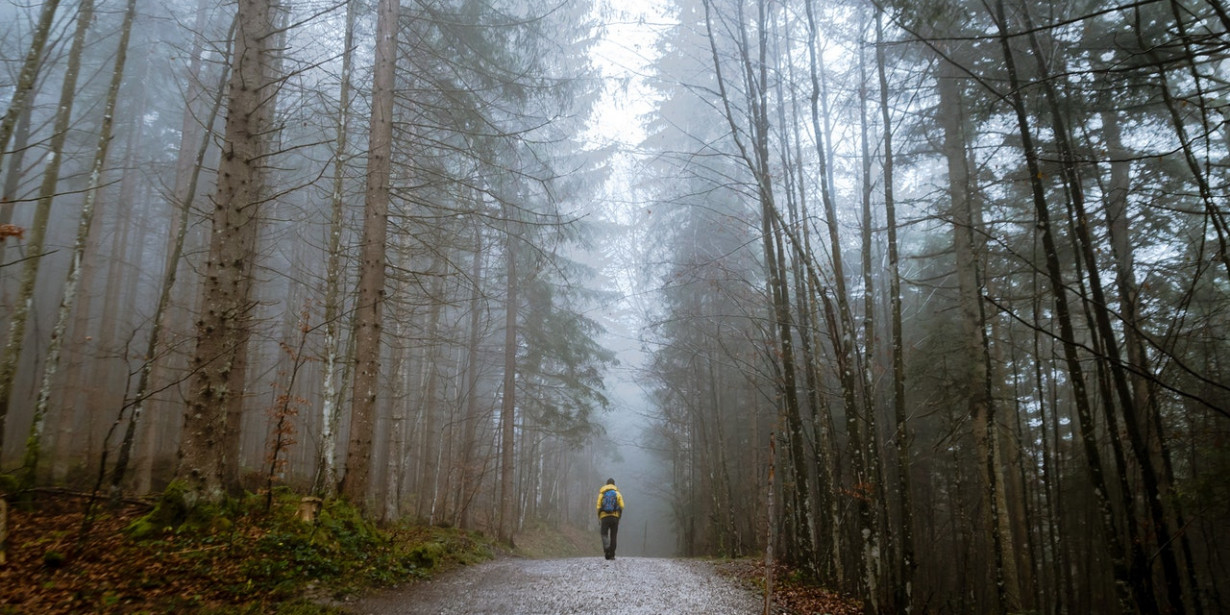 Forest Bathing, Cara Ampuh Hilangkan Stres