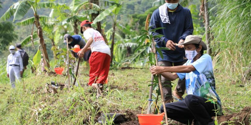 Menilik Ruang Terbuka Hijau sebagai Area yang Diperhatikan Pemerintah