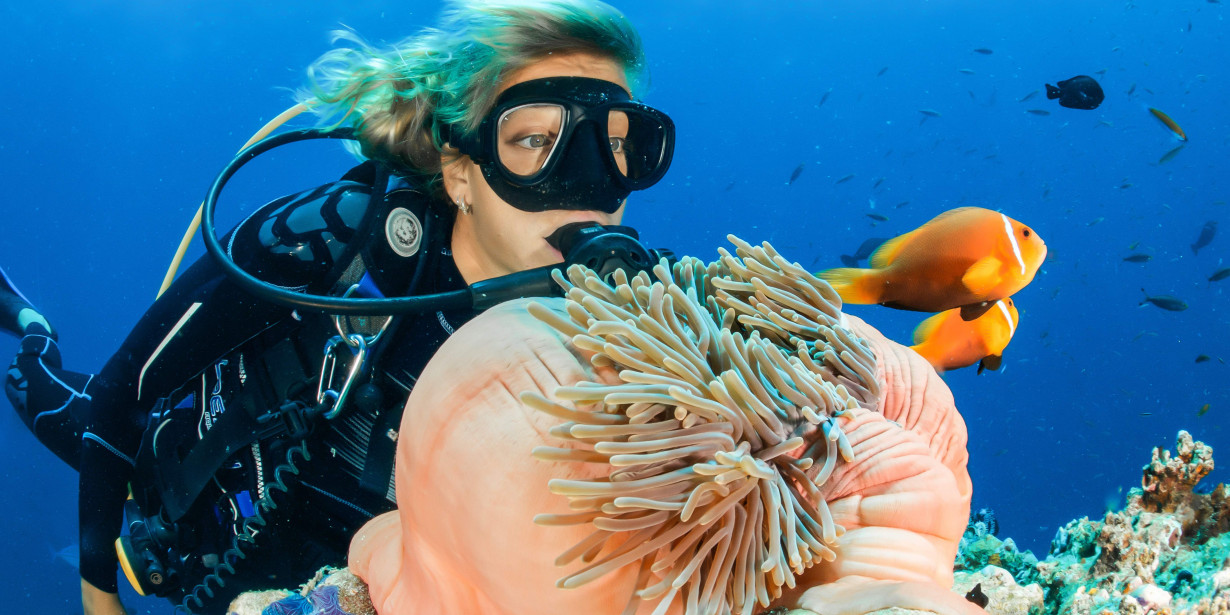 Jelajah Keindahan Wisata Bawah Laut Indonesia dengan Olahraga Diving