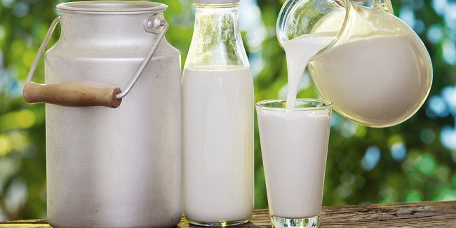 Mikrobia Perusak Susu Segar, Kenali dan Tangani!