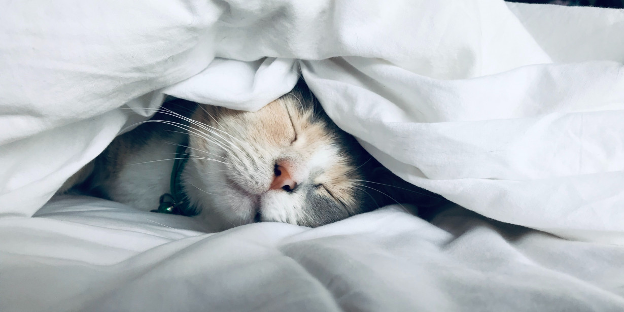 Sering Merasa Lelah Saat Bangun Tidur? Mungkin Kamu Mengalami Ini