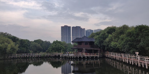 Menikmati Keindahan Wisata Hijau bersama Taman Mangrove PIK