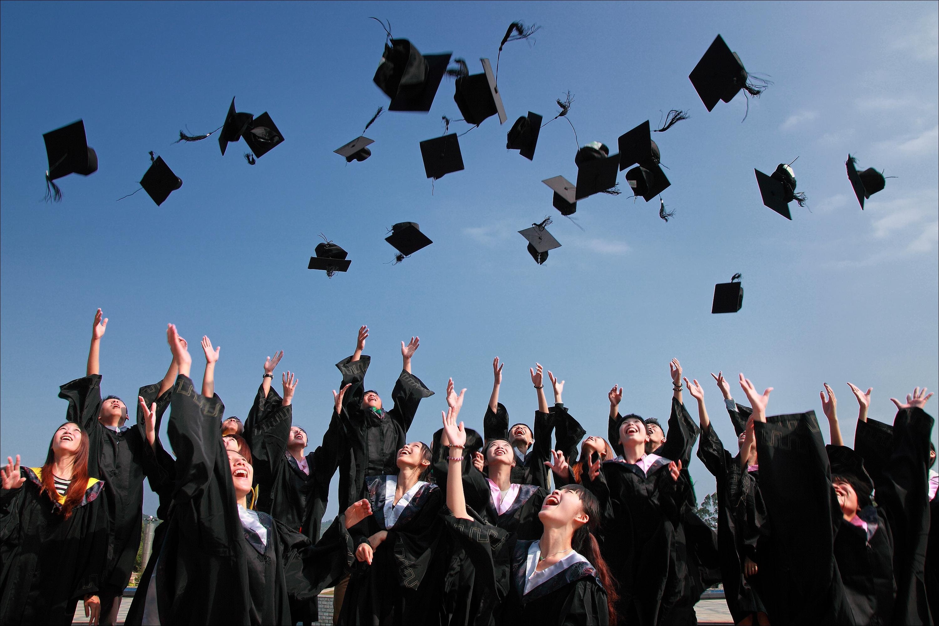 Gambar Sampul Apa Saja Tantangan yang Harus Dihadapi Fresh Graduate Dalam Dunia Kerja?