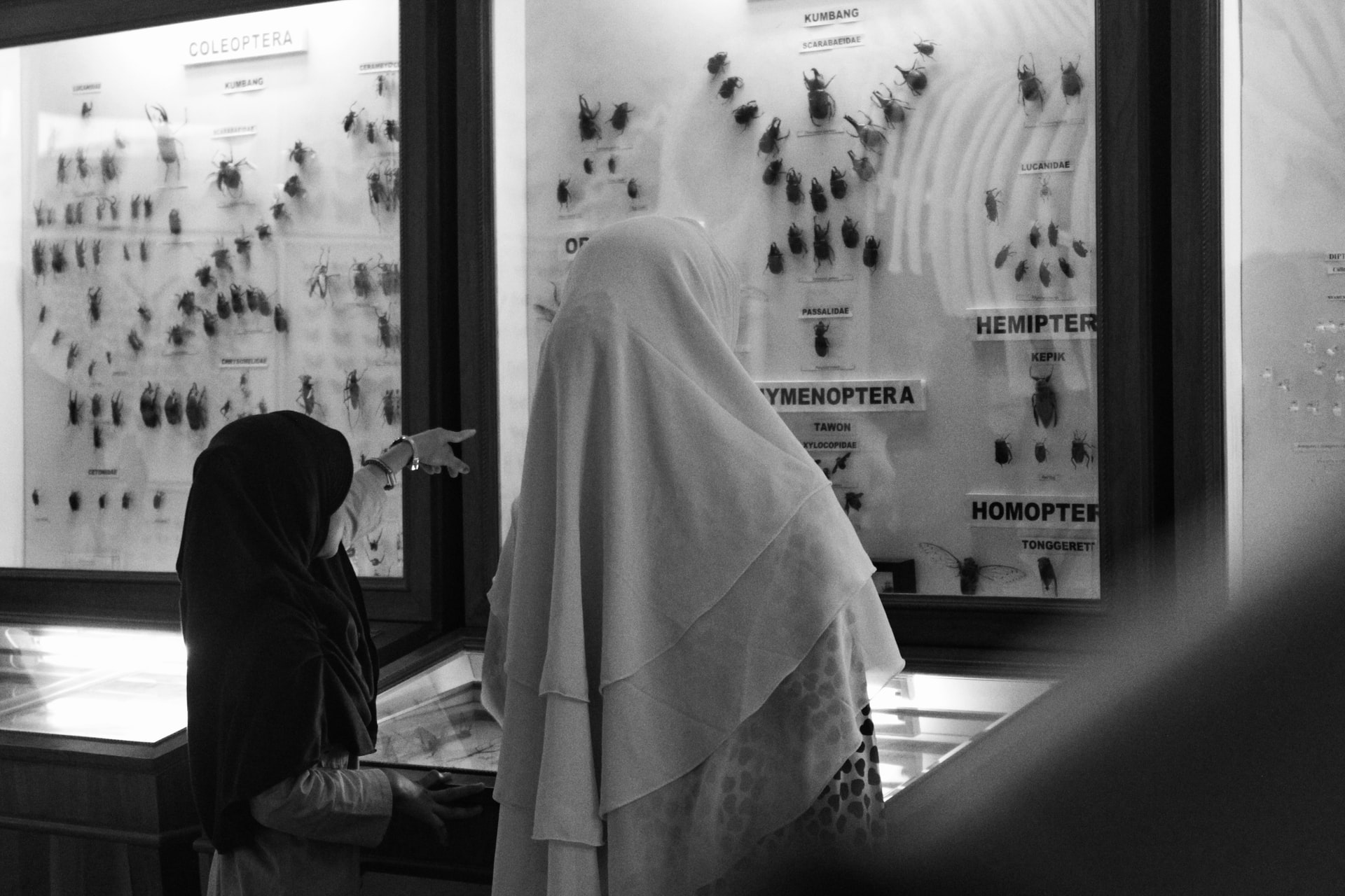 Belajar Sejarah Lebih Seru Bersama Komunitas Malam Museum