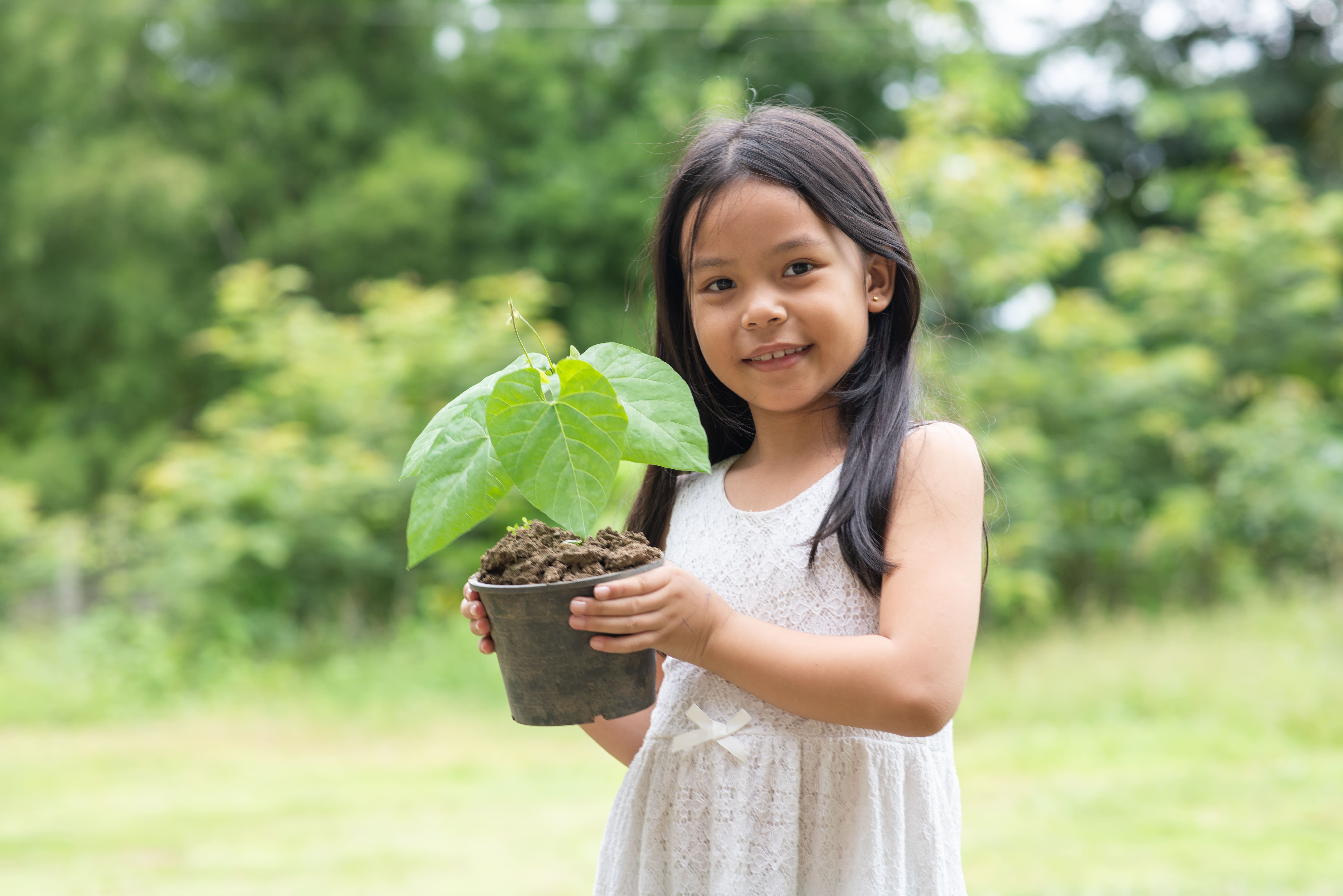 Gambar Sampul Cara Mudah Ajarkan Anak Menjaga Lingkungan Hidup