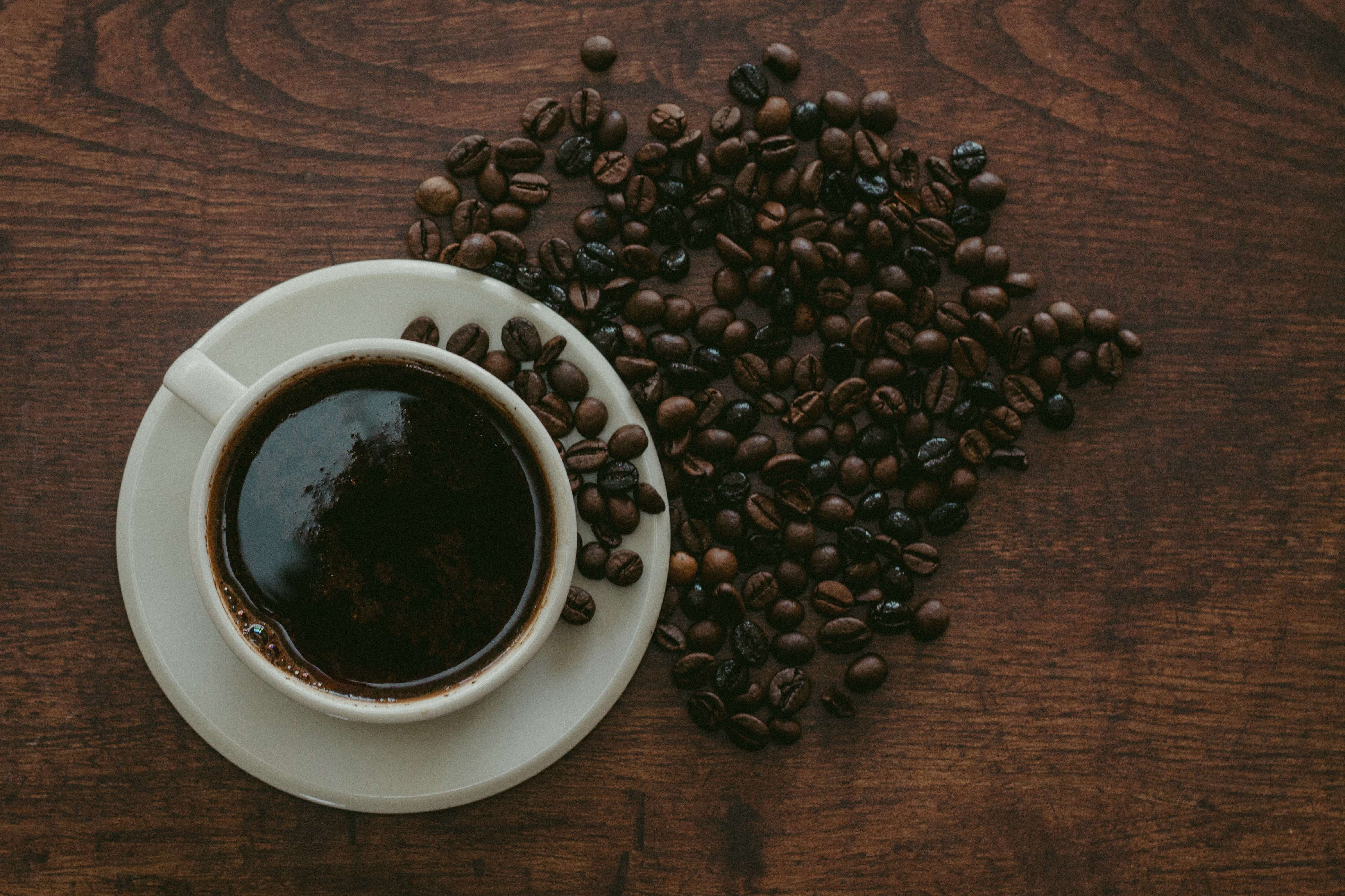 Cegah Bencana Melalui Tanaman Kopi