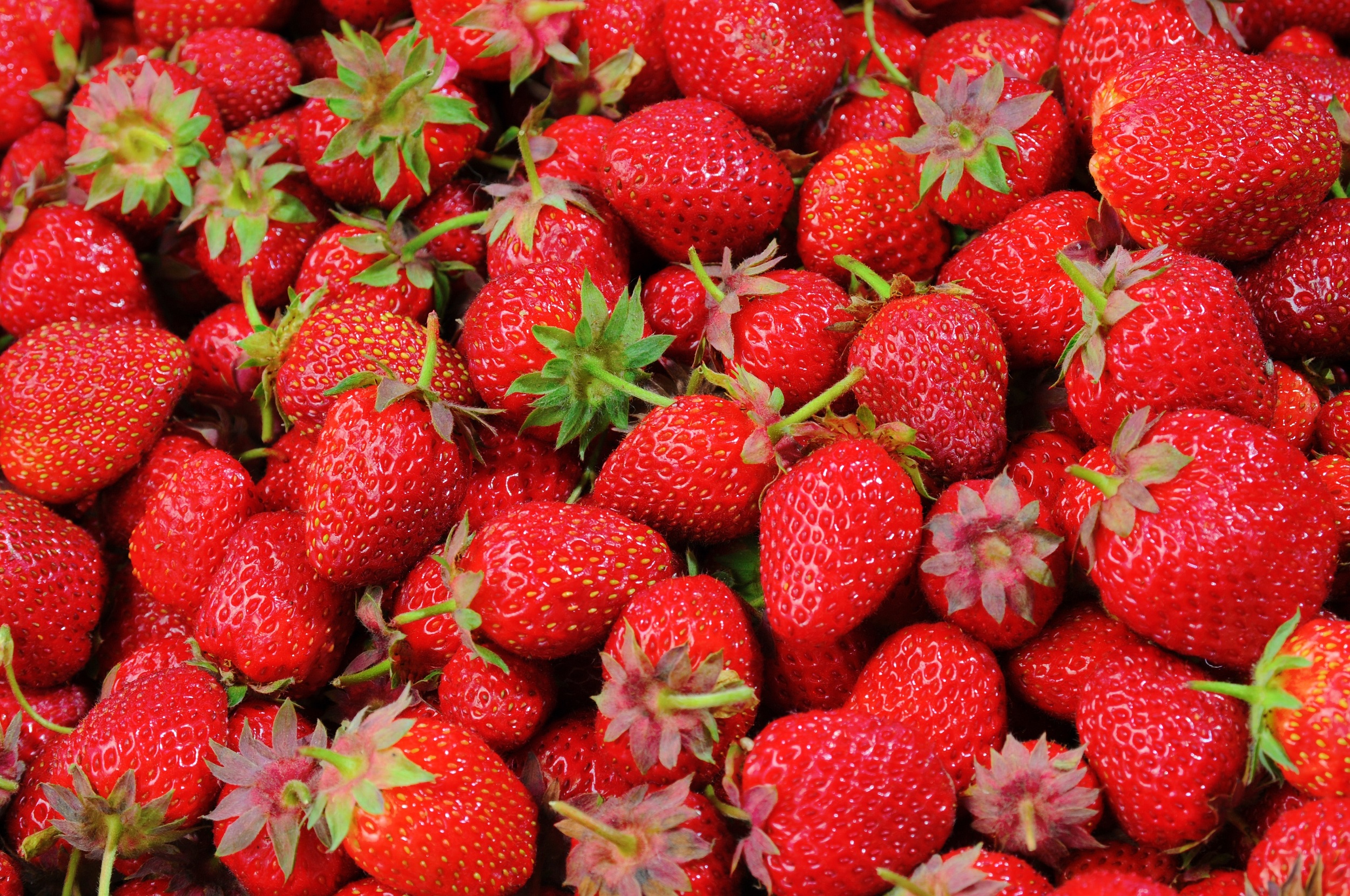 Pahami Fenomena Strawberry Generation, Kiat Jadi Generasi Muda Pantang Menyerah!
