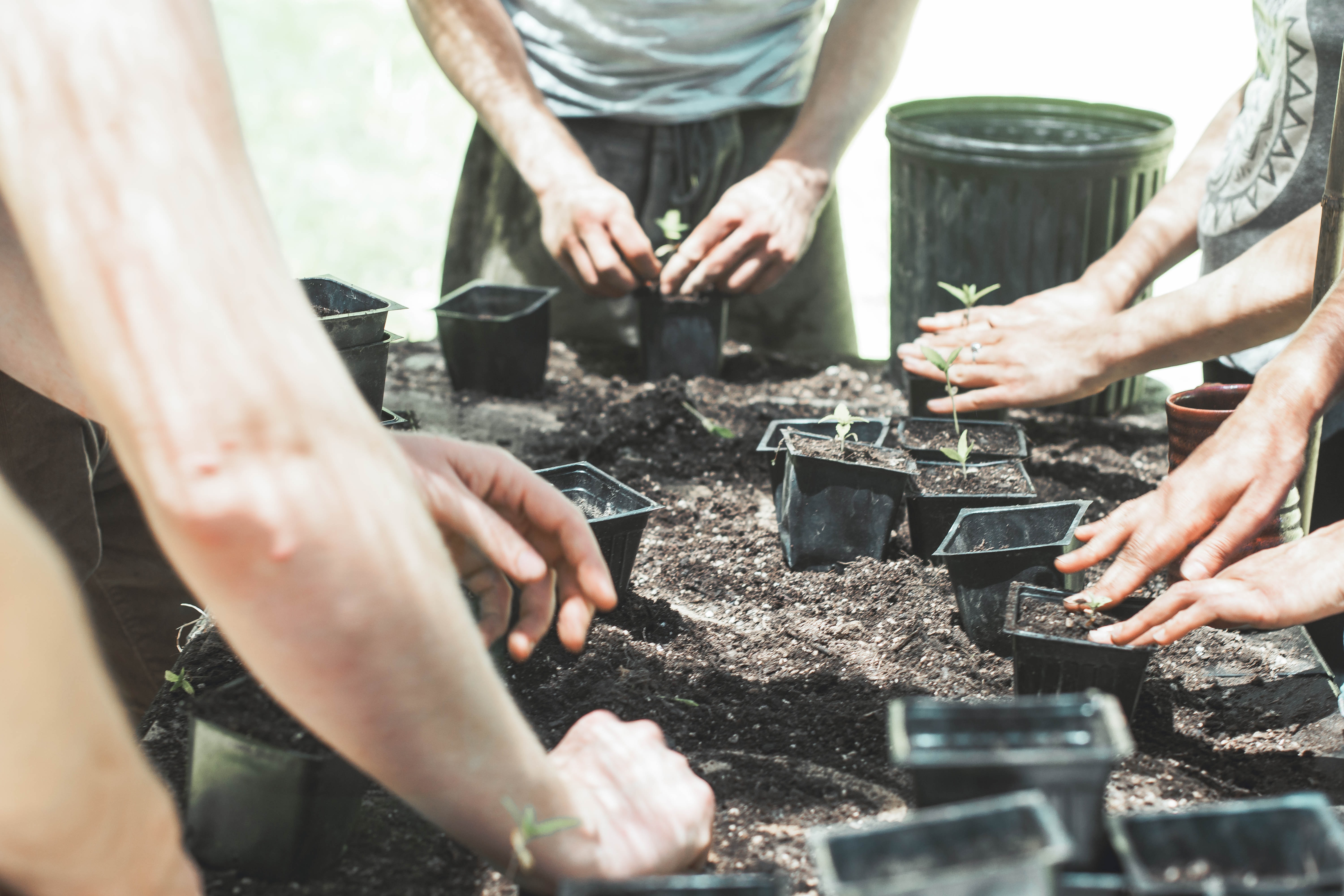 Gambar Sampul Hidroponik: Alternatif Berkebun di Lahan Sempit
