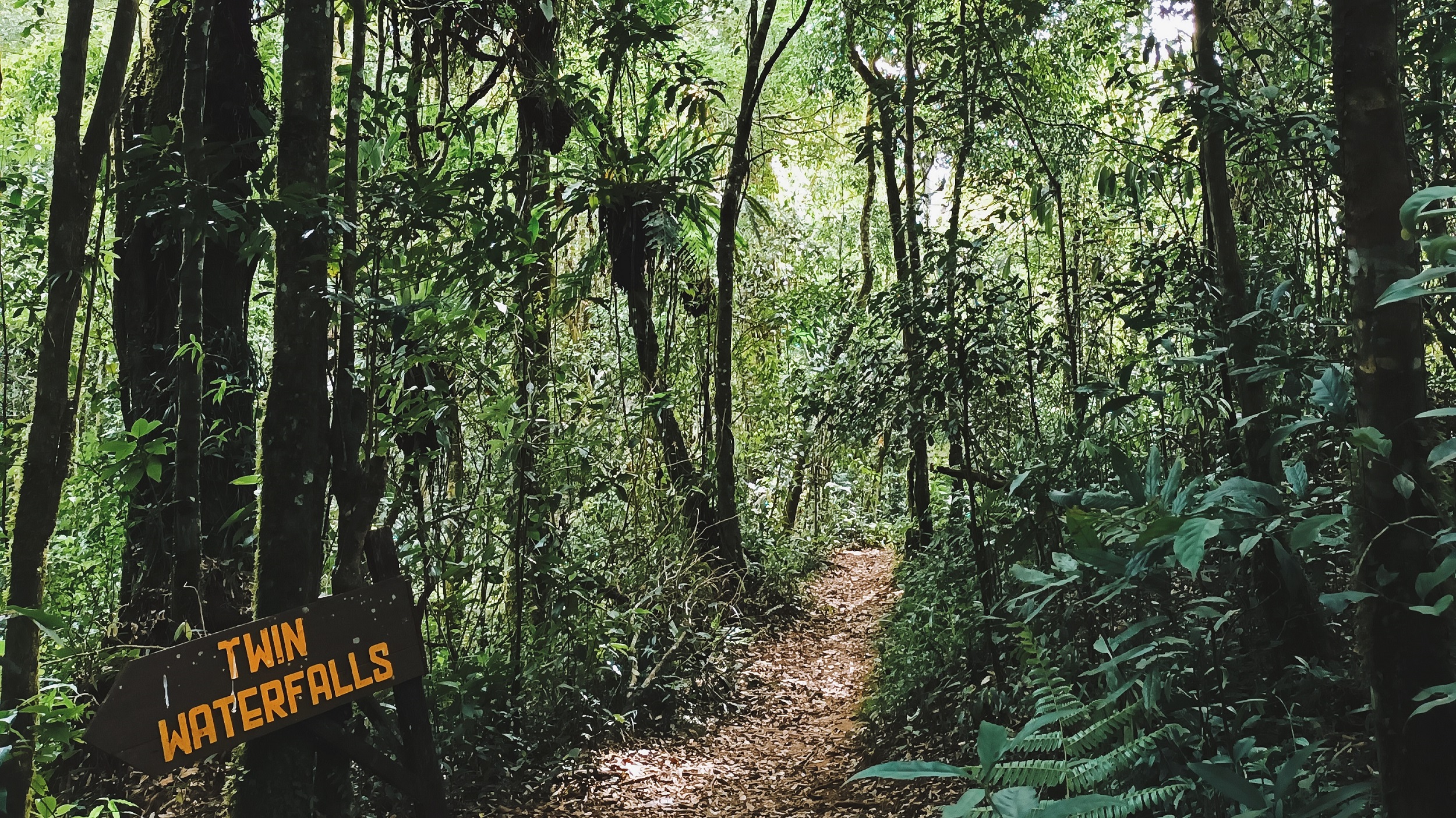 Punya Hobi Trekking? Kamu Dapat Melakukannya di Taman Simalem, Bonus Pemandangan Air Terjun Kembar!