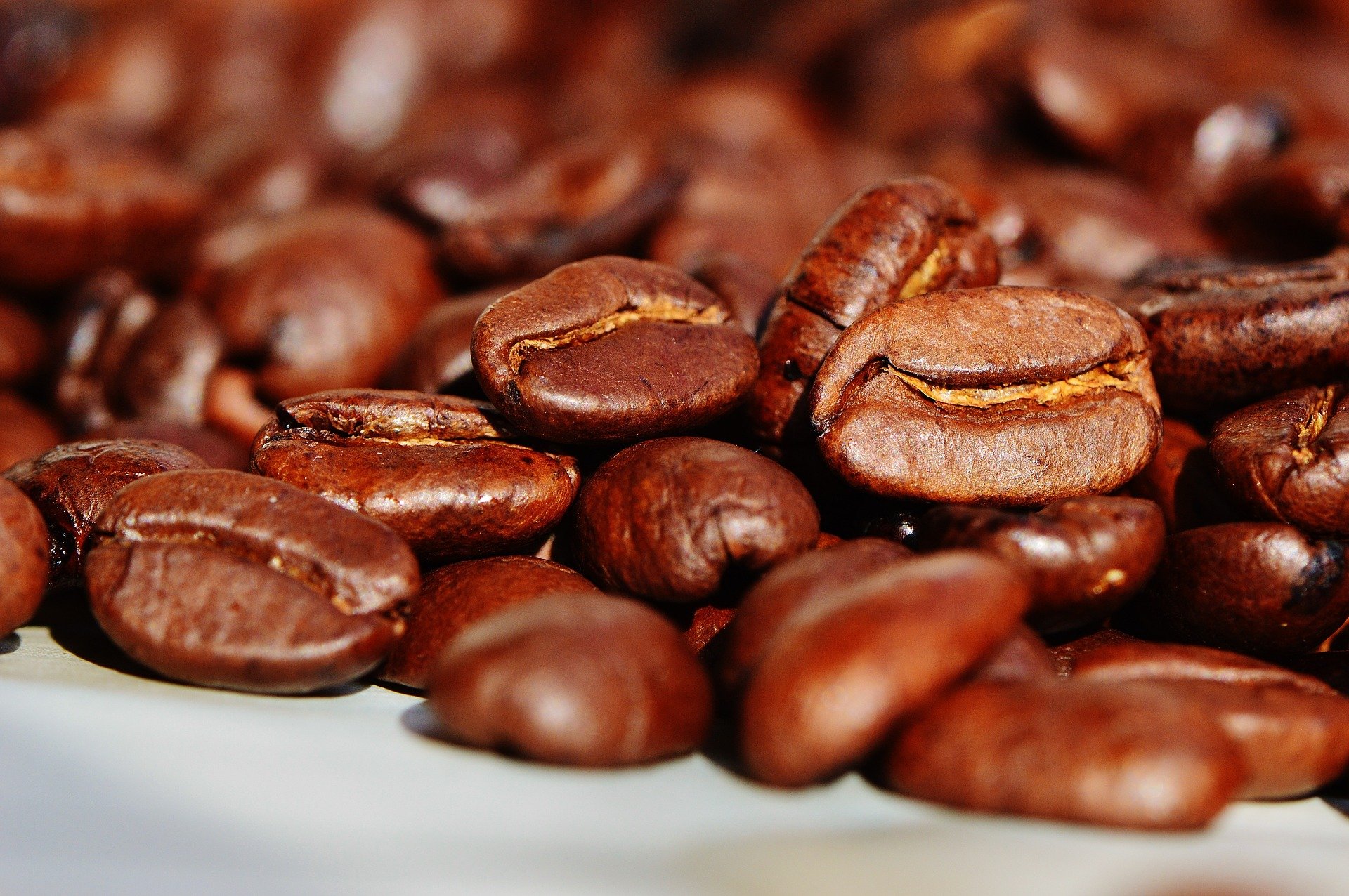 Gambar Sampul Jangan Ngaku Pecinta Kopi Kalau Belum Tahu Jenis-jenis Kopi Lokal Terbaik Ini