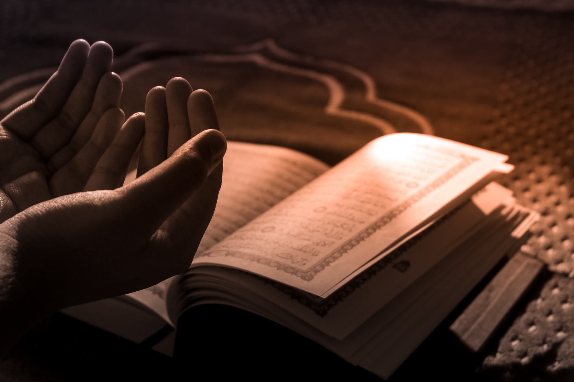 Gambar Sampul Deretan Kampus yang Menerima Mahasiswa Baru Jalur Hafiz Qur'an