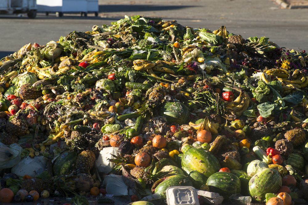 Gambar Sampul Kendalikan Food Waste Mulai dari Piring Makanmu