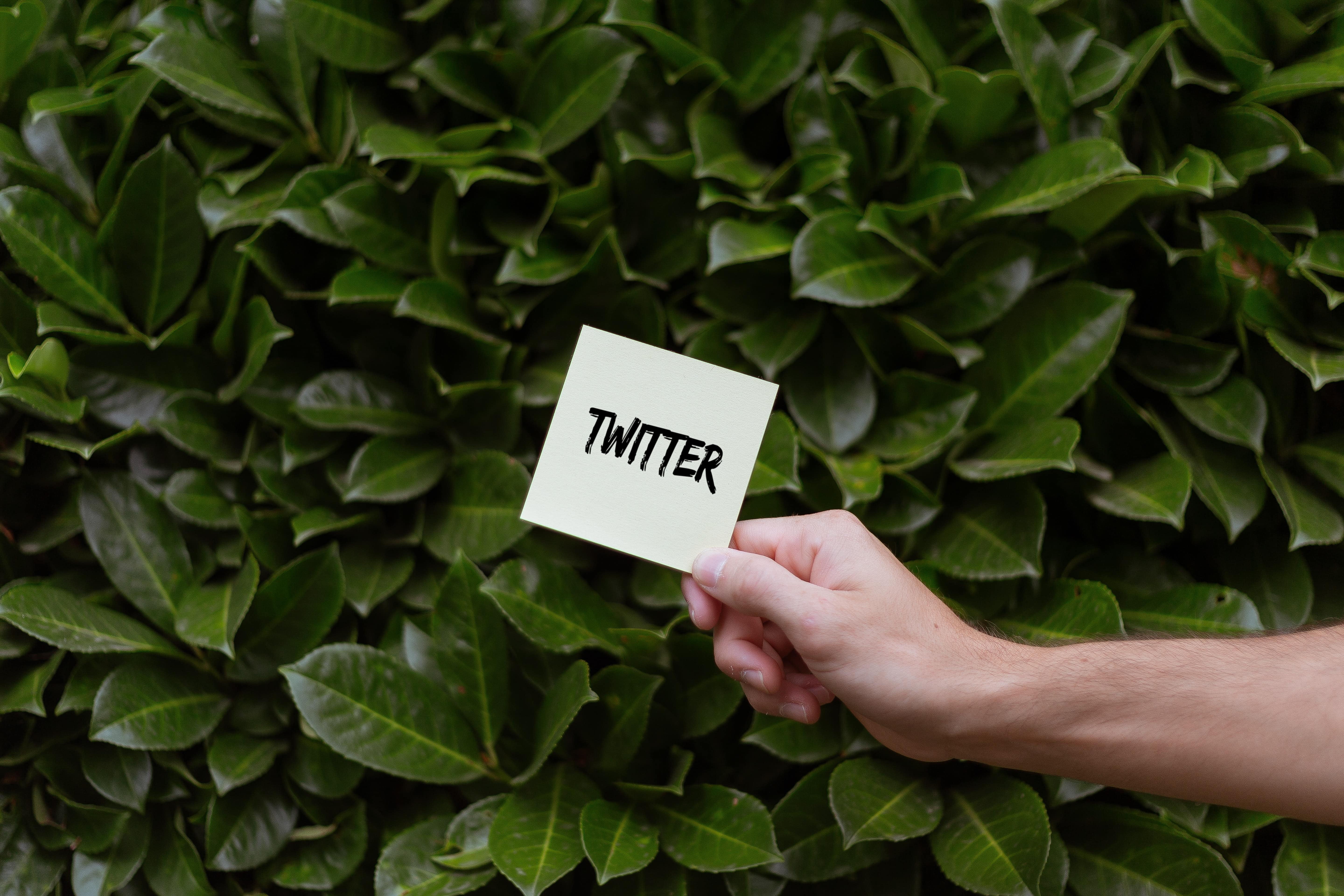 Makin Tren, Ini 5 Akun Menfess Twitter yang Menarik Diikuti