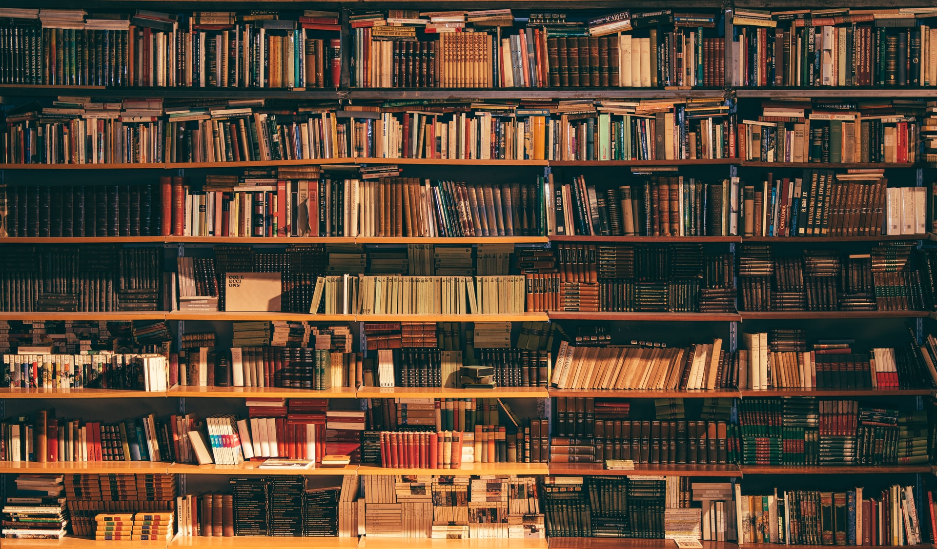 Gambar Sampul Melihat Uniknya Perpustakaan Universitas Indonesia