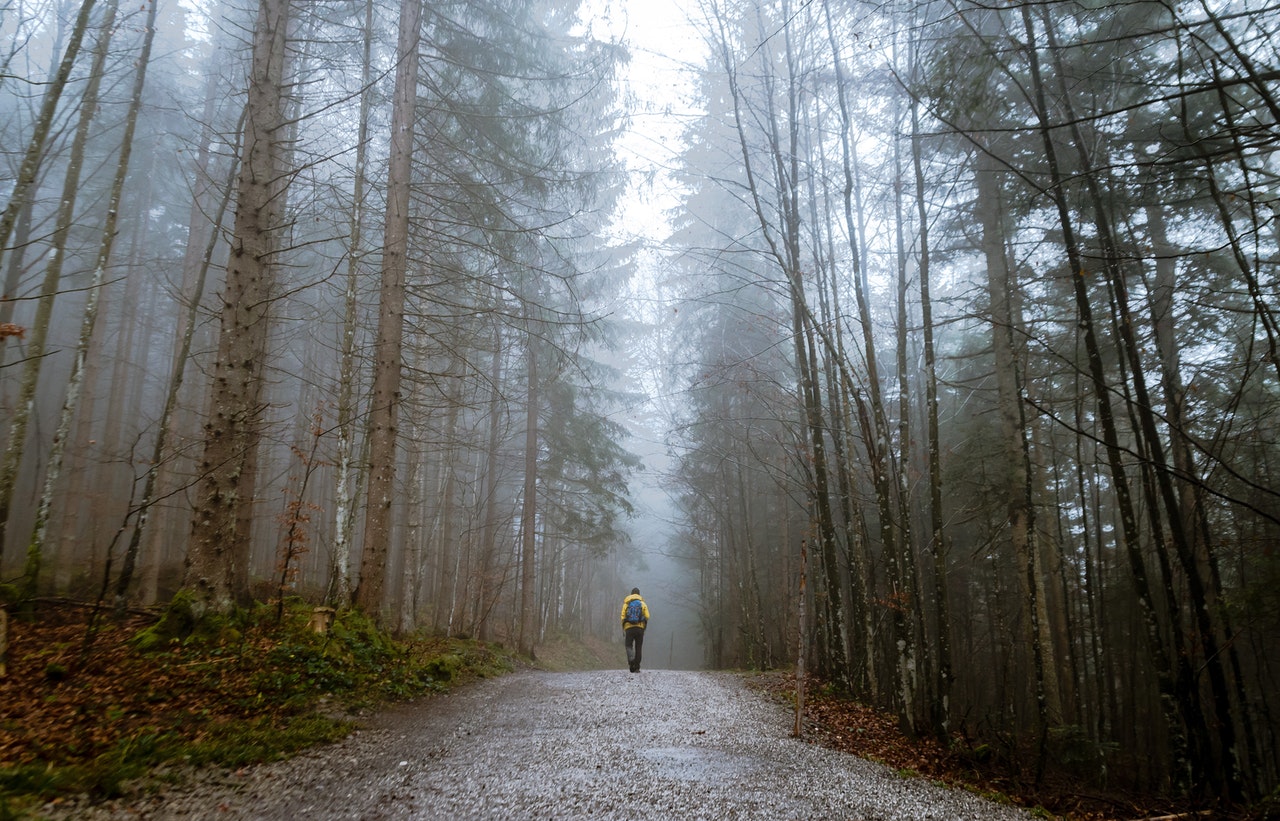 Forest Bathing, Cara Ampuh Hilangkan Stres