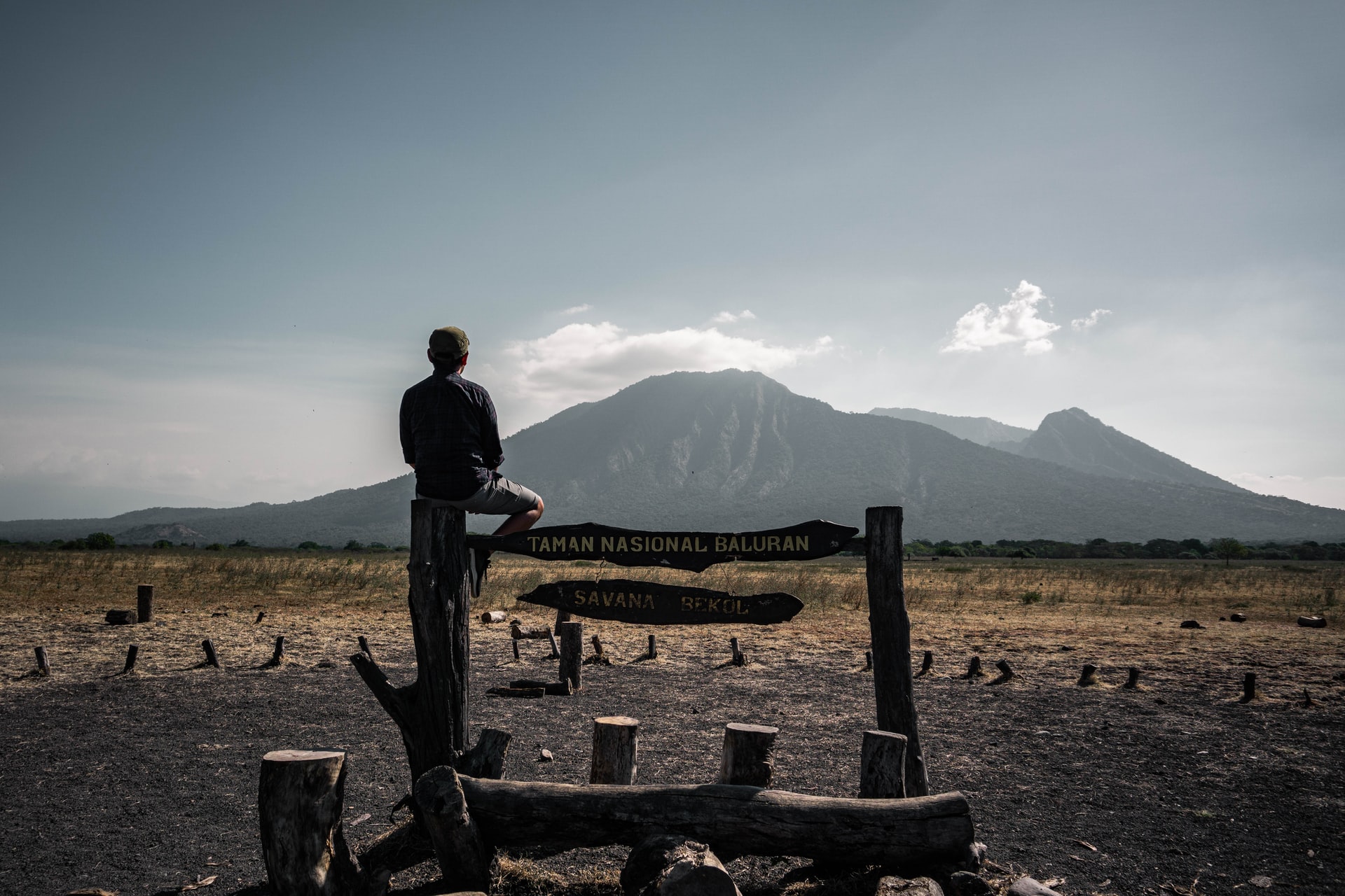 Menikmati Suasana Ala Sabana Afrika di Taman Nasional Baluran