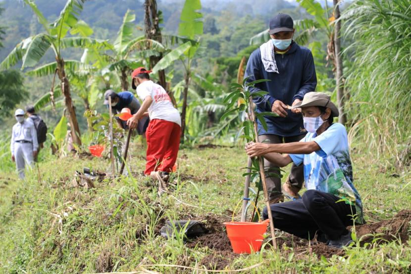 Gambar Sampul Menilik Ruang Terbuka Hijau sebagai Area yang Diperhatikan Pemerintah