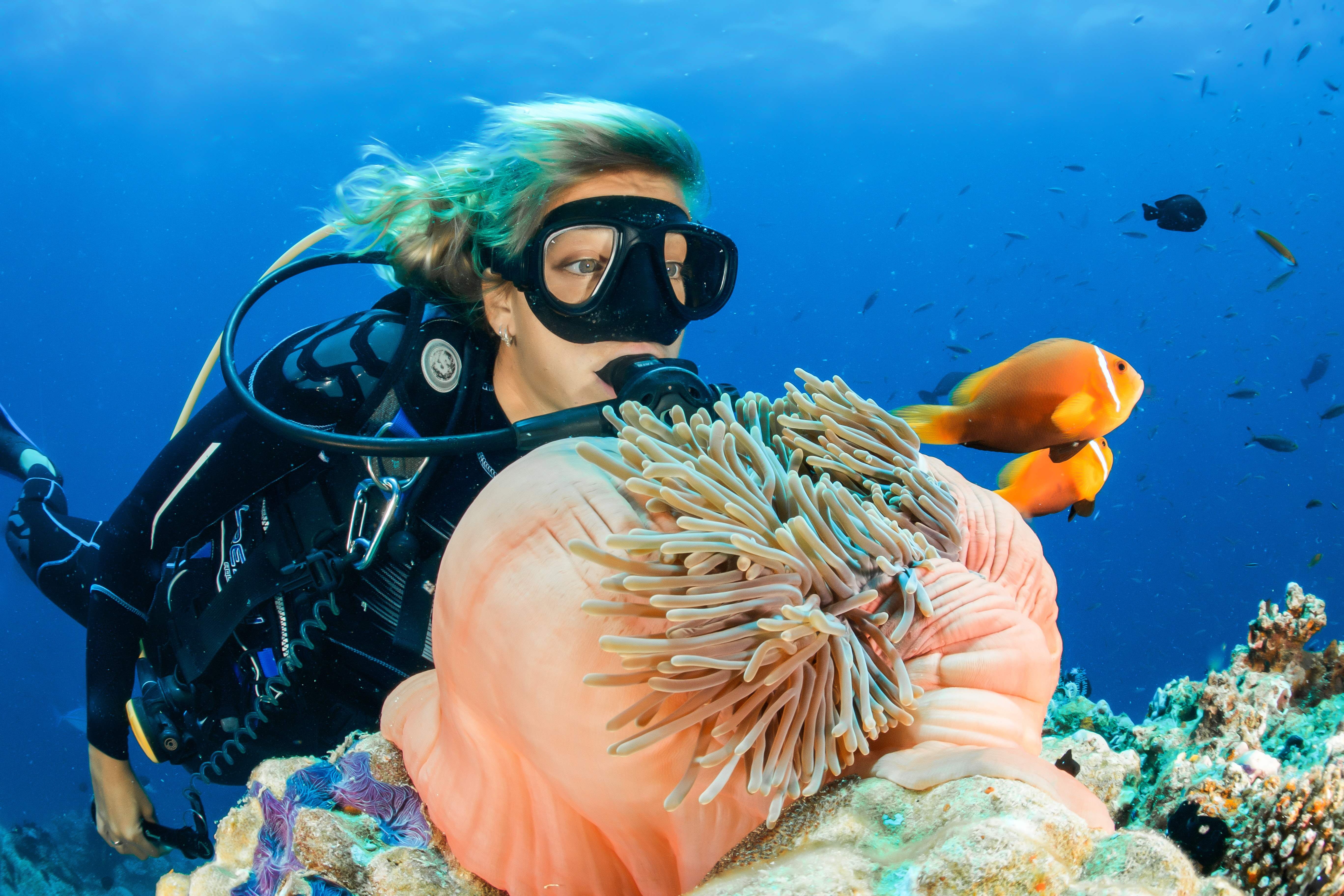 Gambar Sampul Jelajah Keindahan Wisata Bawah Laut Indonesia dengan Olahraga Diving