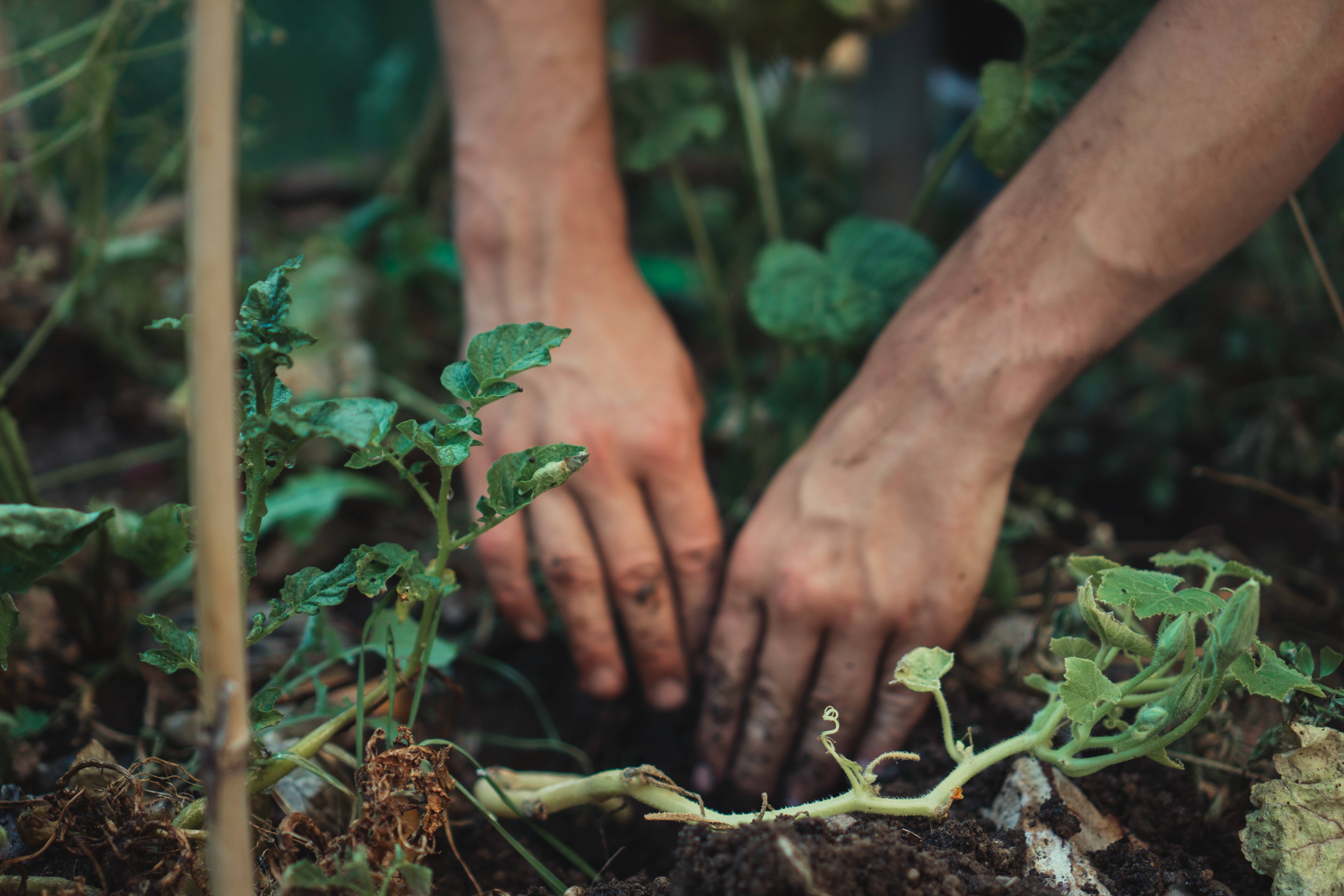 Menilik Program Kampung Iklim Pemerintah Indonesia
