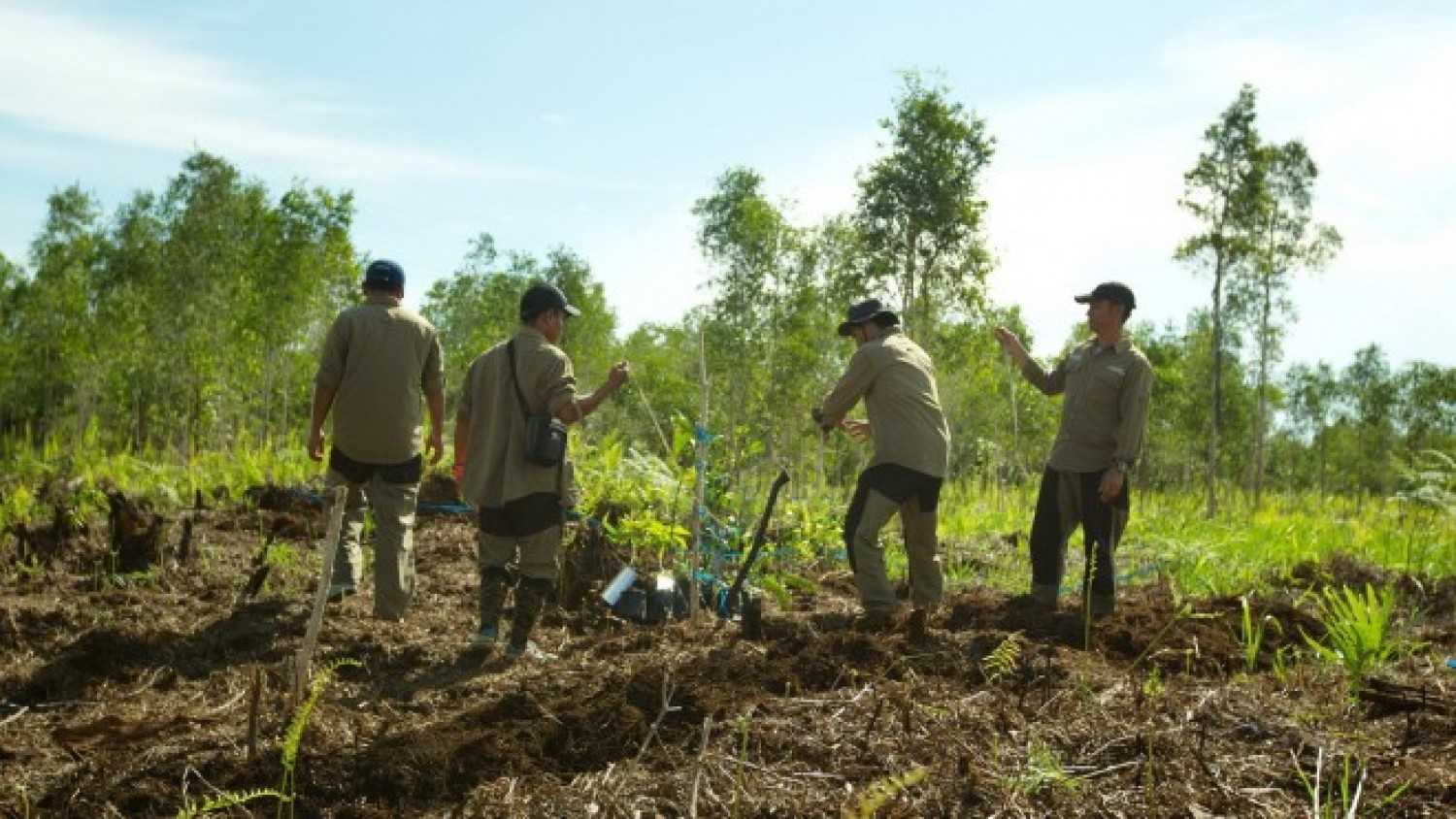 Gambar Sampul Seberapa Penting Restorasi Gambut untuk Indonesia?