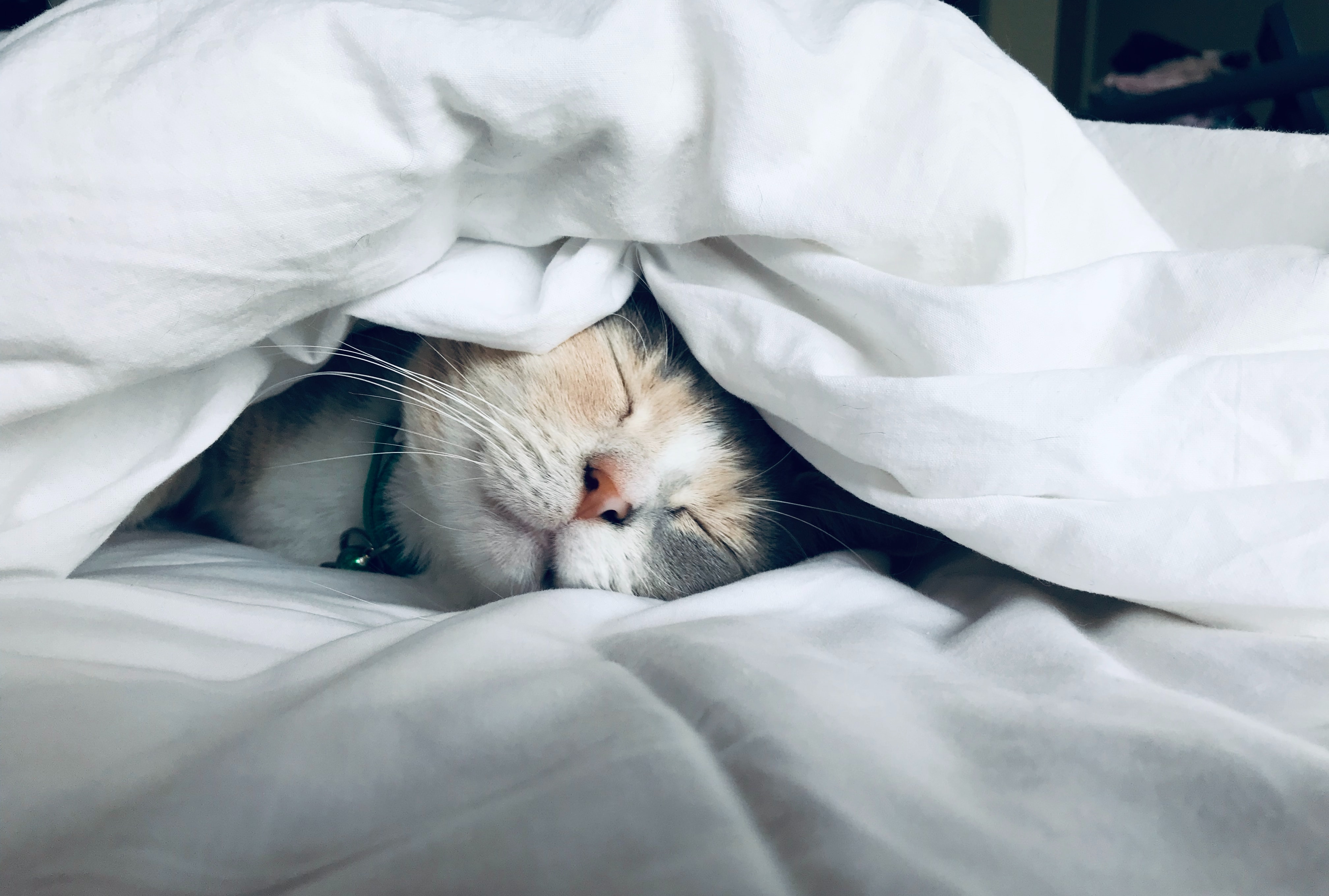 Gambar Sampul Sering Merasa Lelah Saat Bangun Tidur? Mungkin Kamu Mengalami Ini