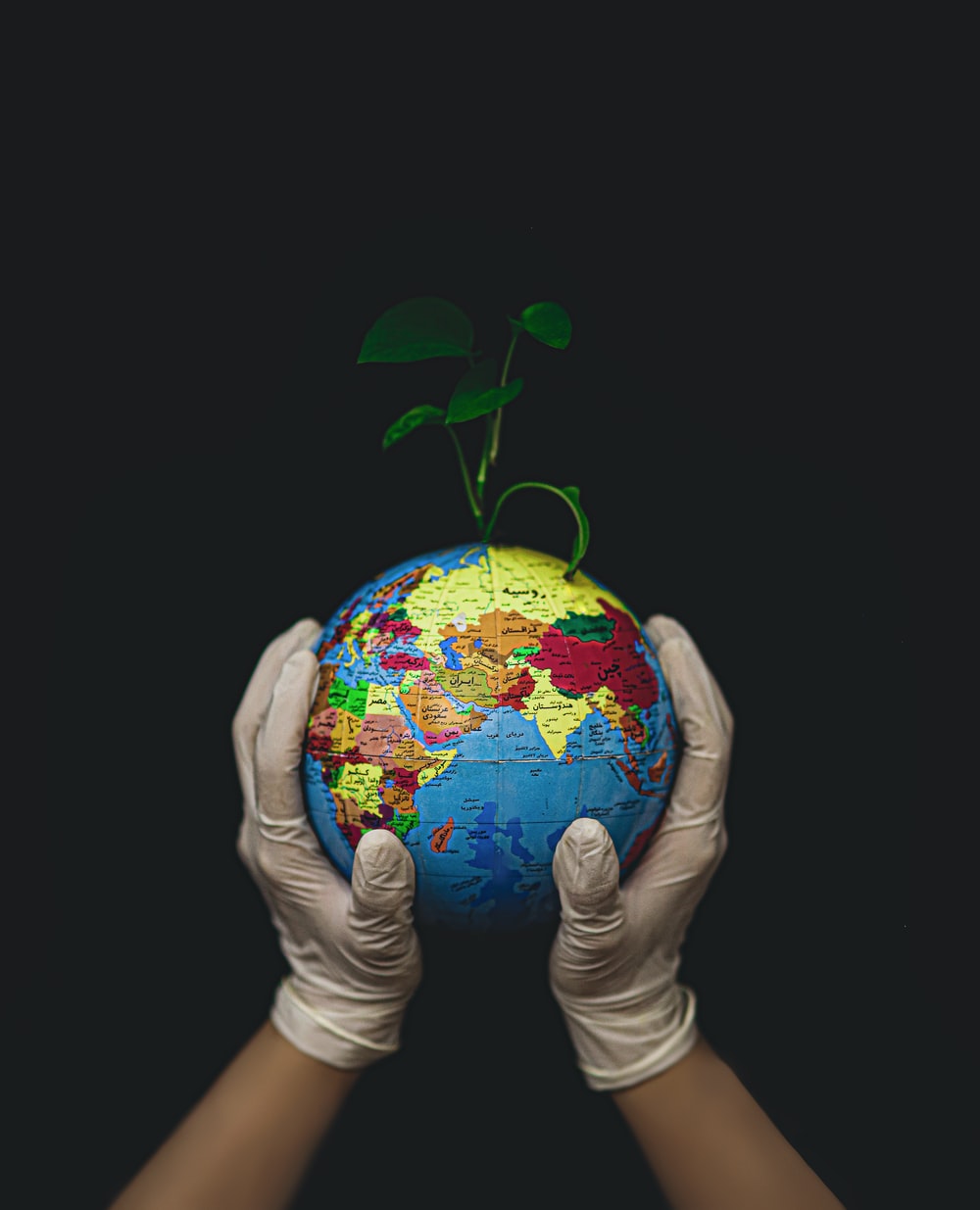Gambar Sampul Trending di Twitter #LetTheEarthBreath, Ayo Selamatkan Bumi dengan 5 Langkah Sederhana!