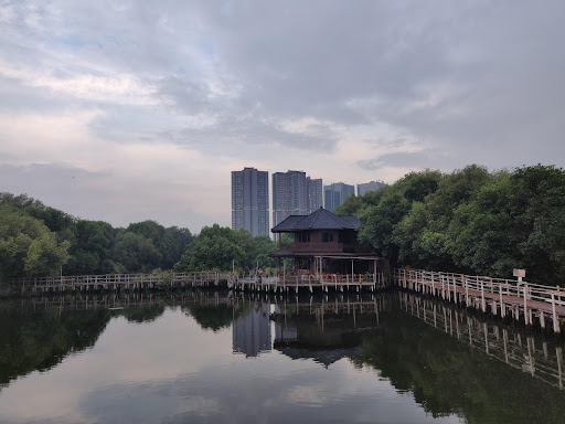 Gambar Sampul Menikmati Keindahan Wisata Hijau bersama Taman Mangrove PIK