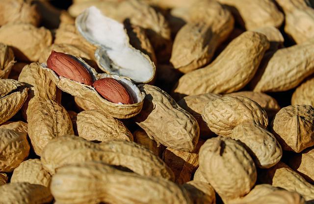 Kacang Ilustrasi kacang-kacangan. (Pixabay.com)