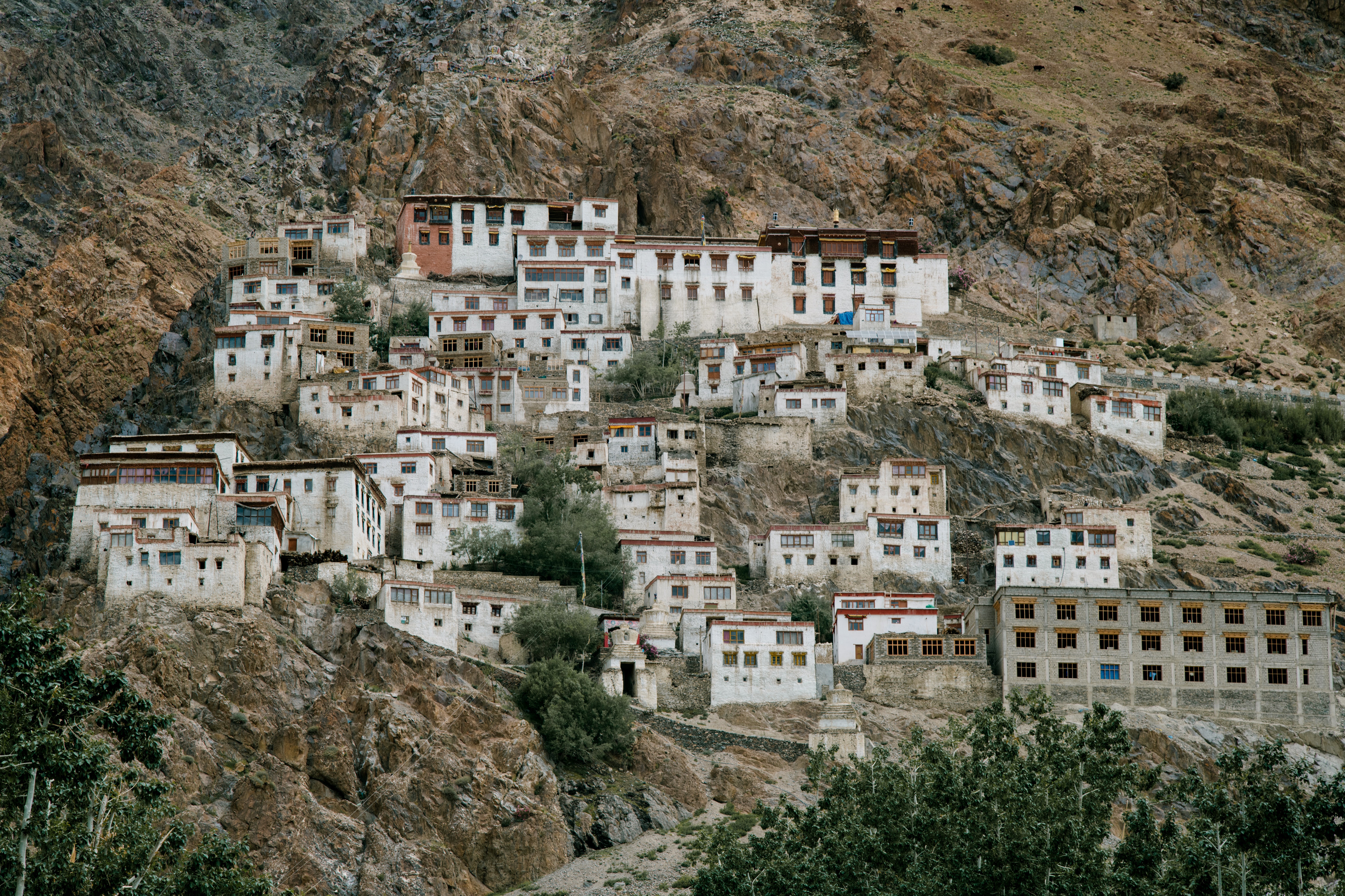 Sebagian besar penutur Sino-Tibet tinggal di wilayah pegunungan | Foto: Julia Volk/Pexels