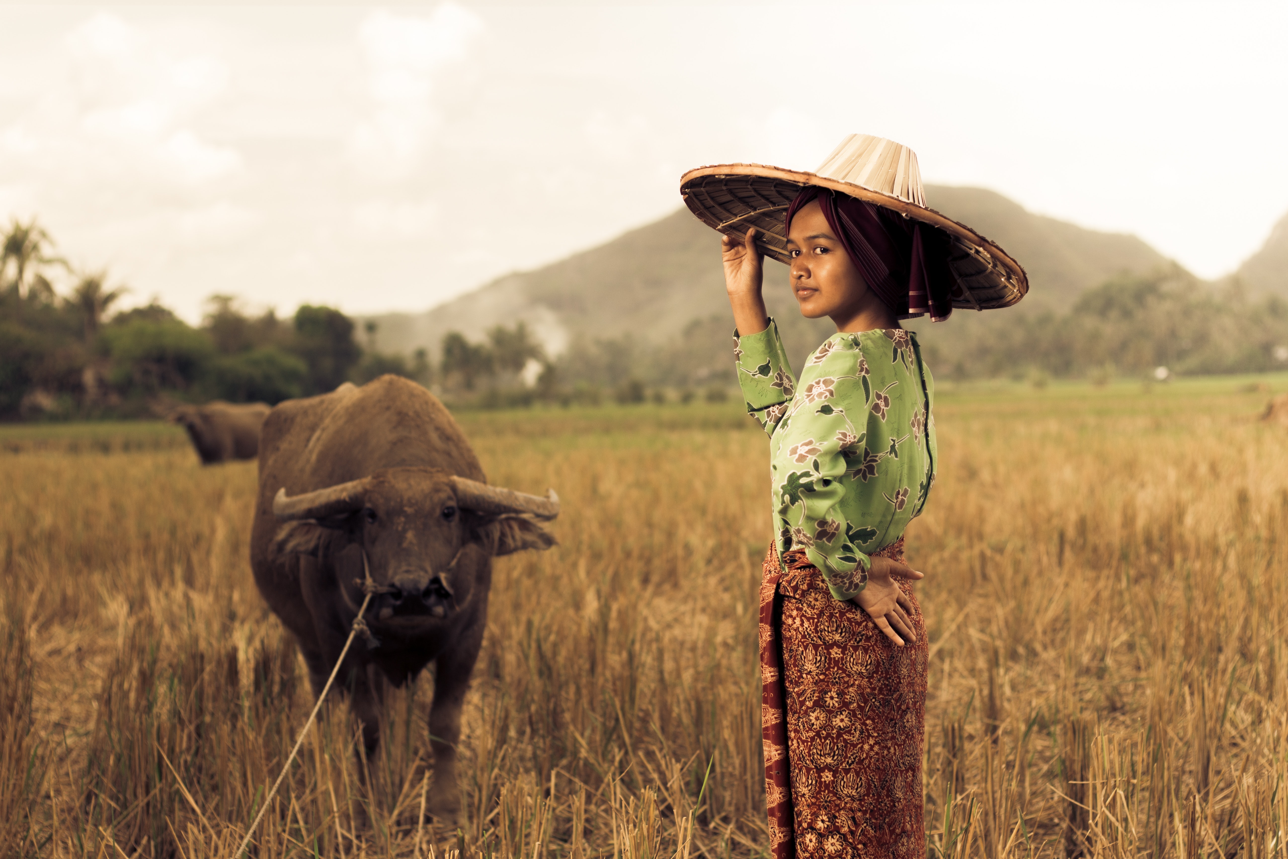 Selain punya bahasa mirip, negara rumpun Austronesia juga punya kemiripan budaya | Foto: Ihsan Adityawarman/Pexels