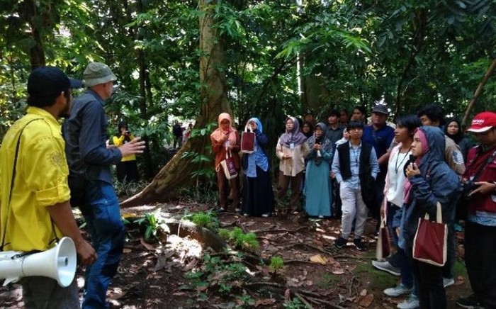 Hutan kampus di UGM | Foto: Detik