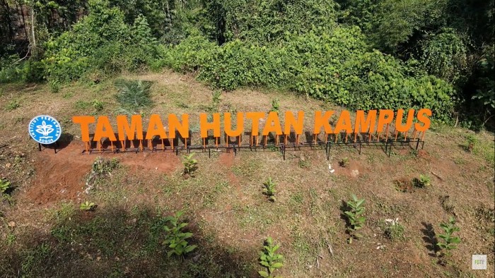 Taman hutan kampus IPB | Foto: Detik