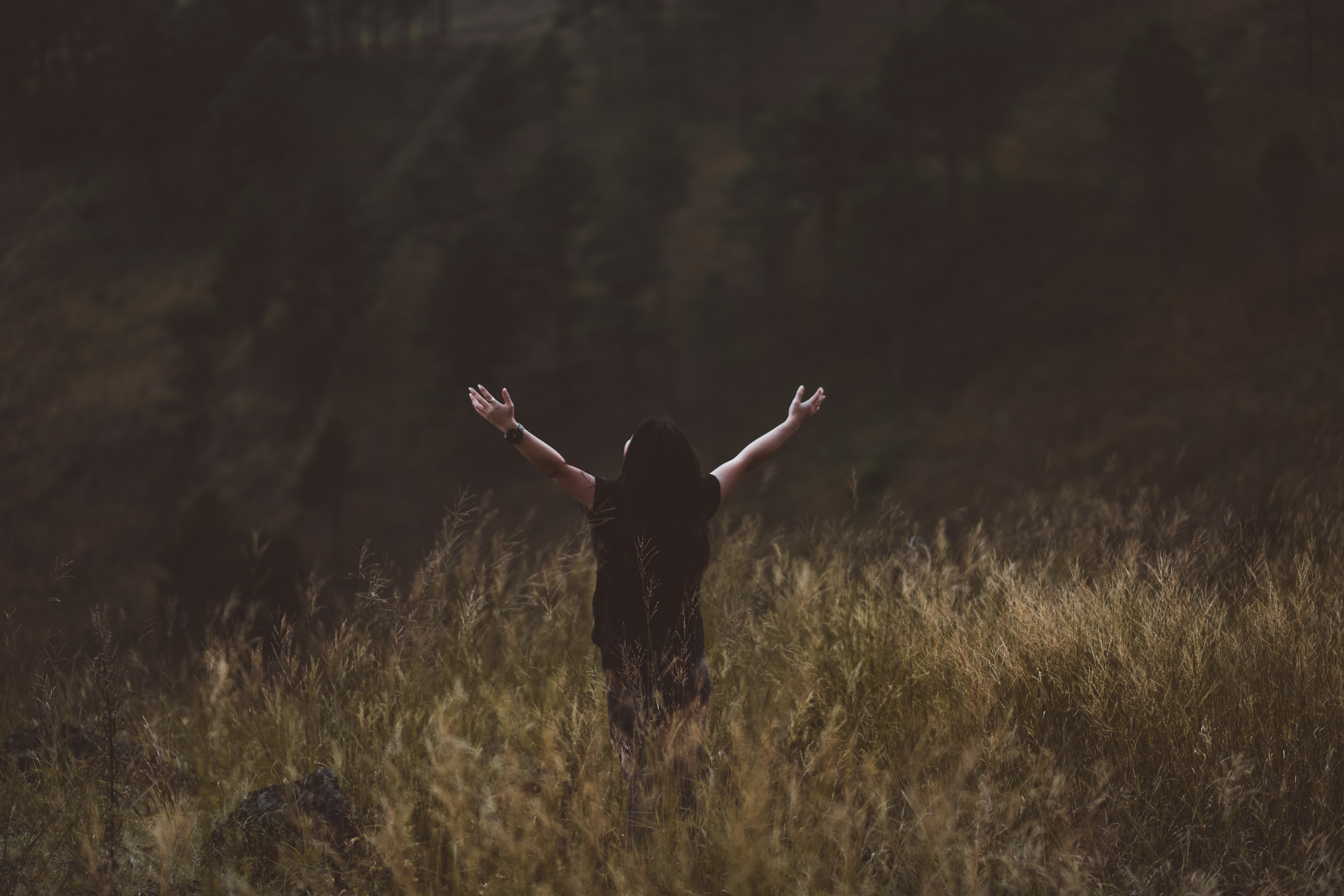 Hadapi languishing dengan flourishing. | Sumber: Hanny Naibaho/Unsplash Hadapi languishing dengan flourishing. | Sumber: Hanny Naibaho/Unsplash